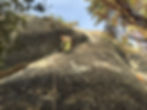 Yosemite Climbing