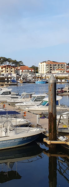20230420_085515 (1440x810).jpg