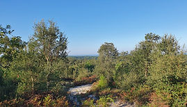 20231008_101235 (1200x675).jpg