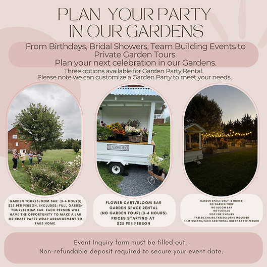 Plan Your party page 1.png