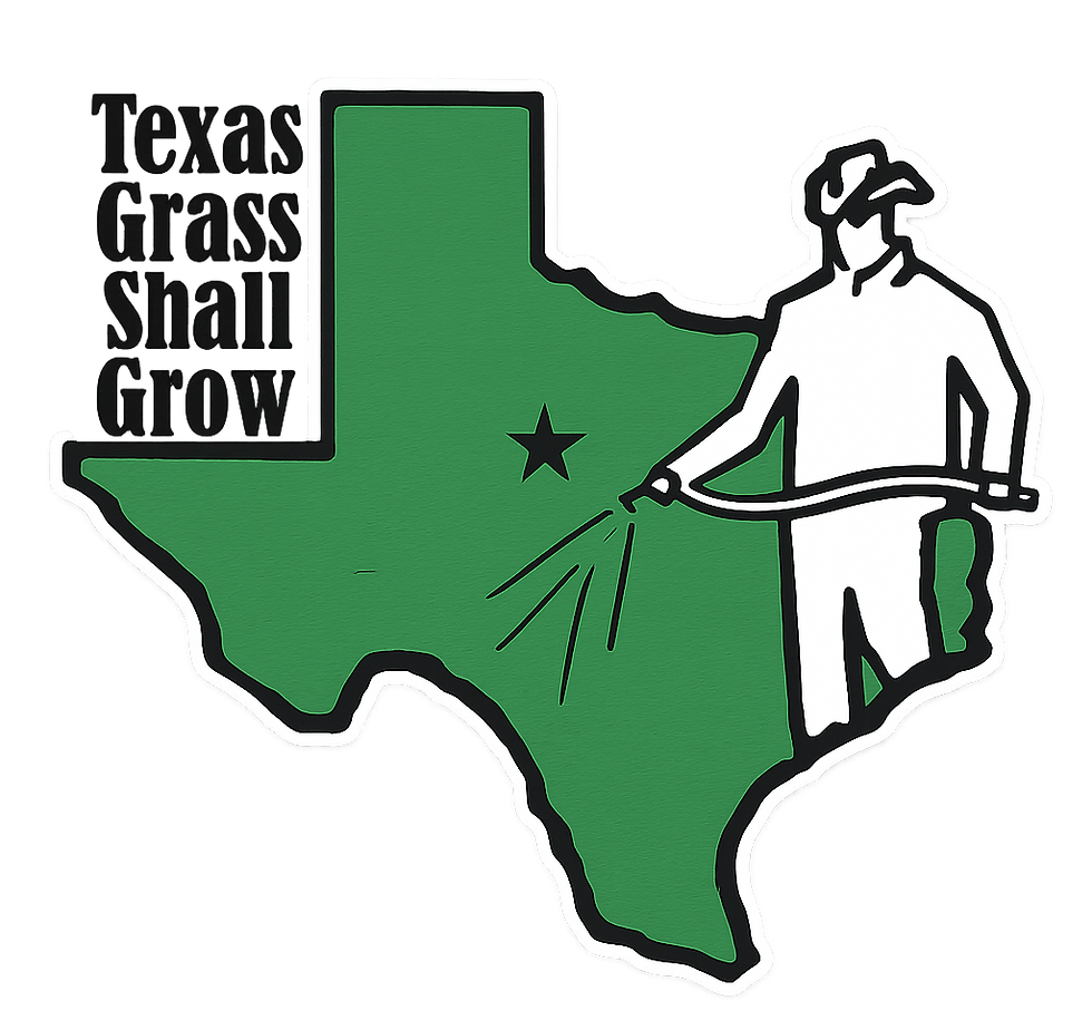 TGSG Logo Transparent.png