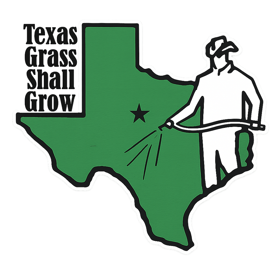 TGSG Logo Transparent.png