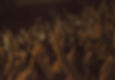 Crowd at a Concert