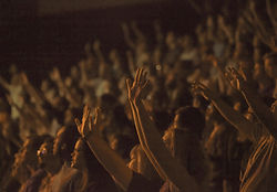 Crowd at a Concert
