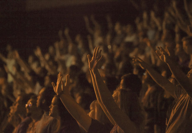 Crowd at a Concert