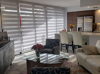zebra-shades-living-room-aventura-condo.