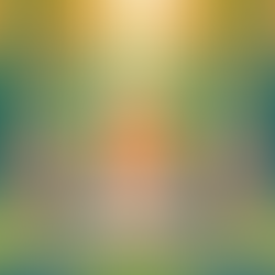 The Evolution of Reiki: Grand Master Degrees and the Path to Higher Consciousness