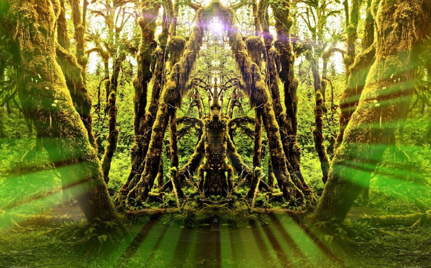 Nature Shaman Reiki - Mother Earth & Nature Deva Connections