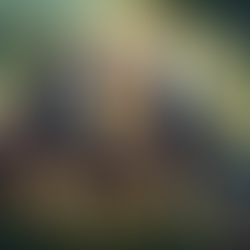 The Sacred Connection: My Journey with the Wolf Spirit Guides