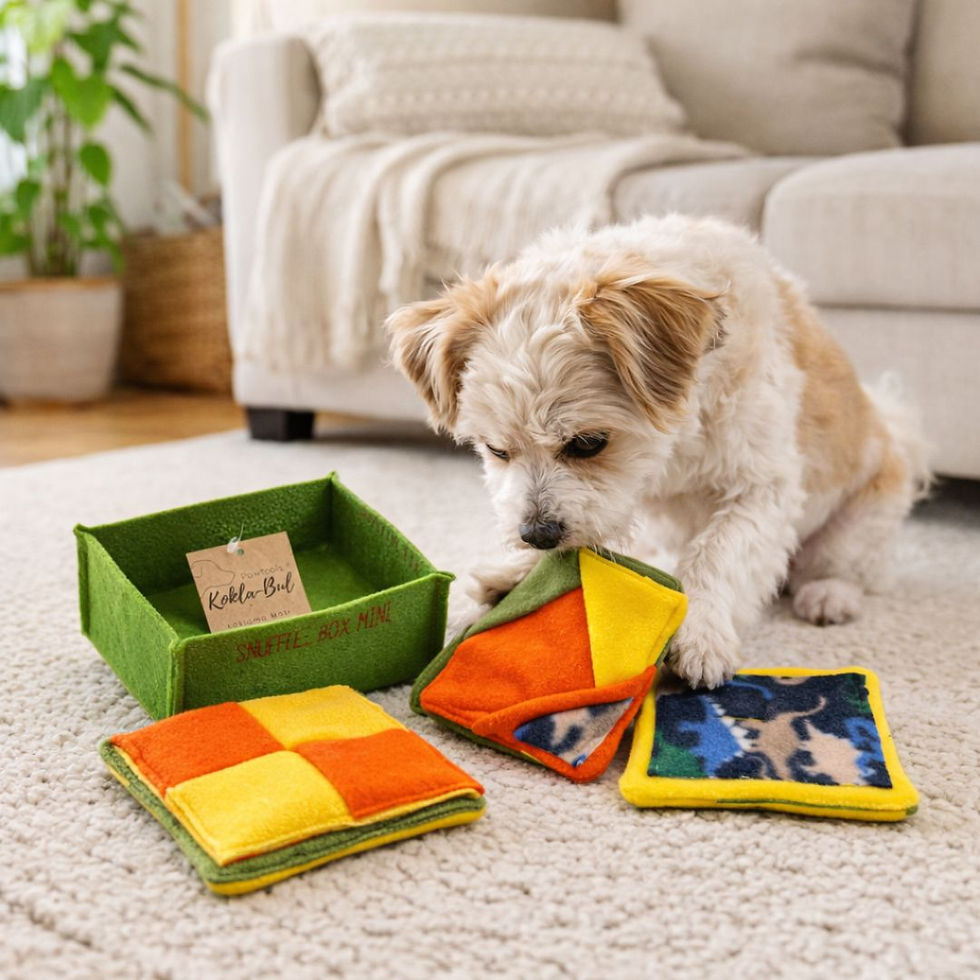 Küçük resim: köpek koklama matı oyuncak seti