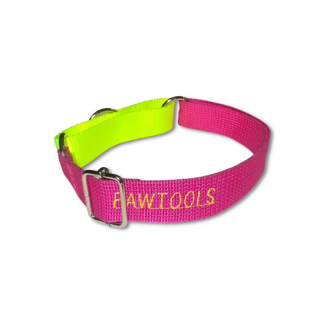 pembe ve neon renkli martingale model Köpek Eğitim Tasması