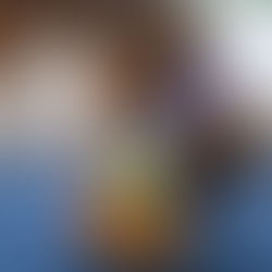 köpek zeka oyuncağı ile oynayan köpek zihinsel aktivite