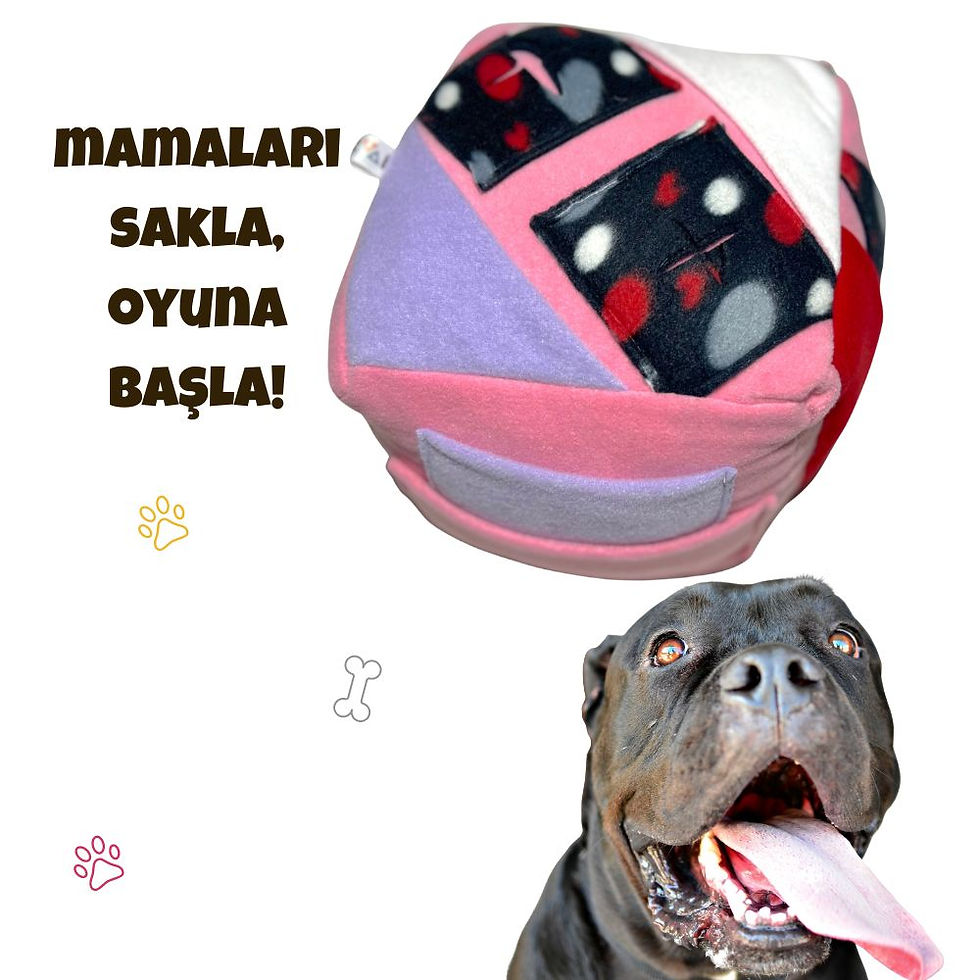 Küçük resim: zeka küpü büyük köpek mama saklama ödül bulma oyunu interaktif oyuncak