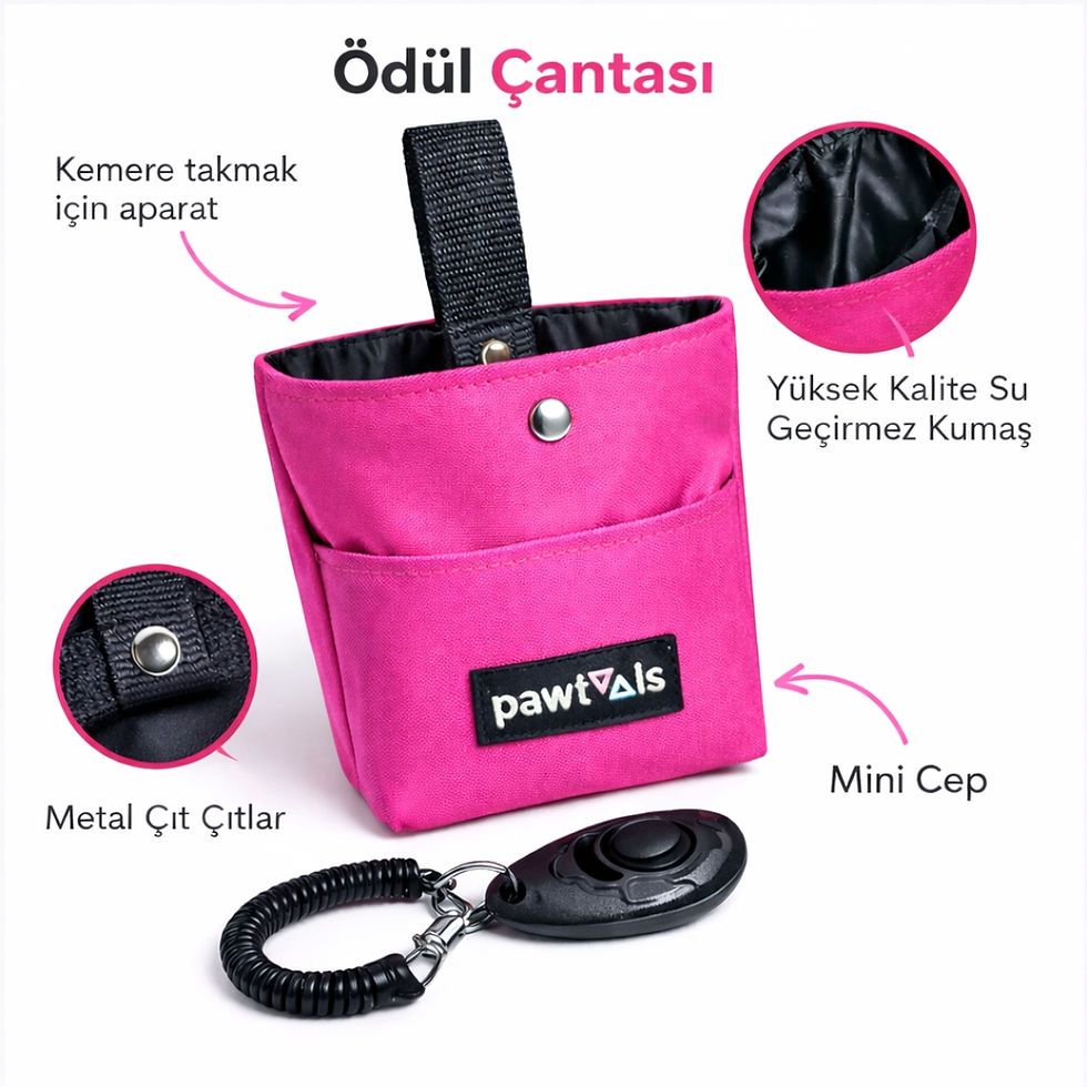 Küçük resim: köpek eğitimi için ekipman seti, ödül çantası, eğitim kayışı hands free, clicker