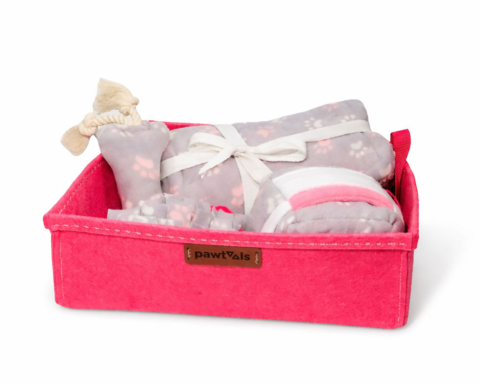 küçük köpek yavru köpek hediye seti pembe