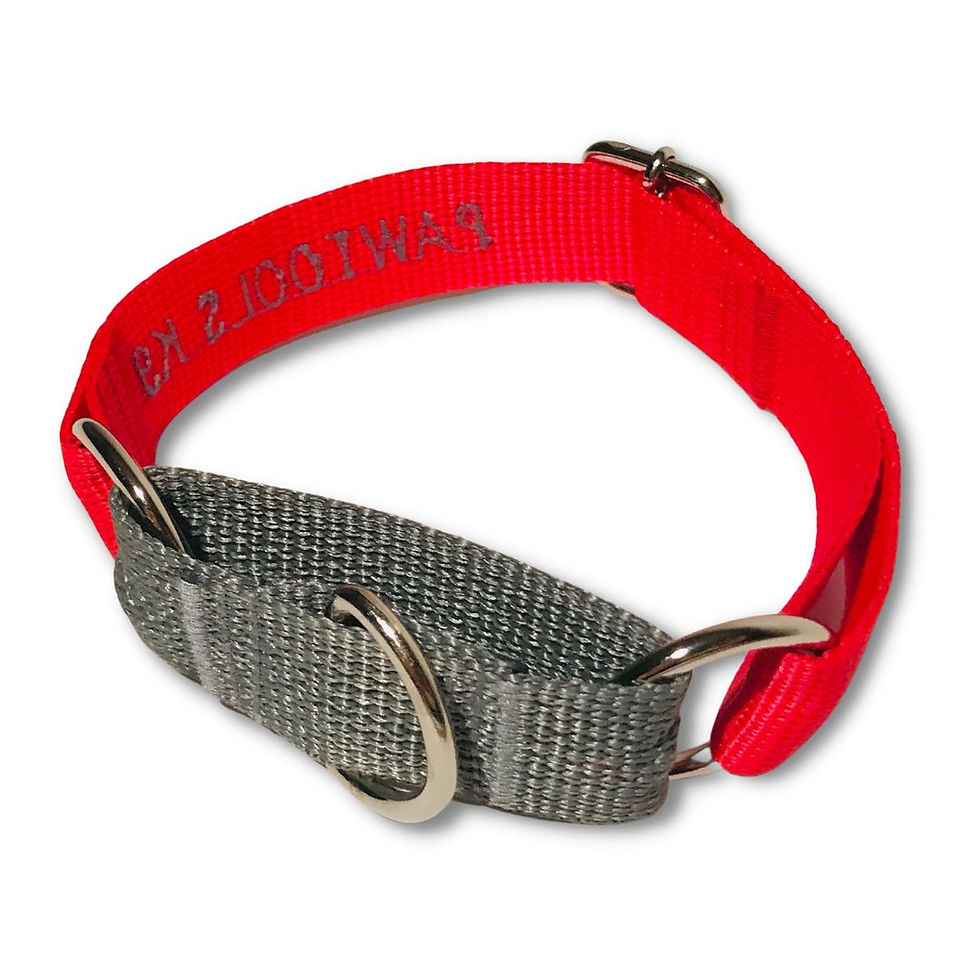 Küçük resim: kırmızı ve gri renkli martingale model Köpek Eğitim Tasması