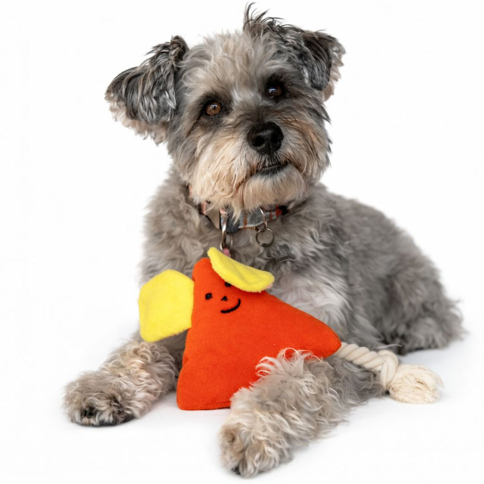 peluş sesli köpek oyuncağı