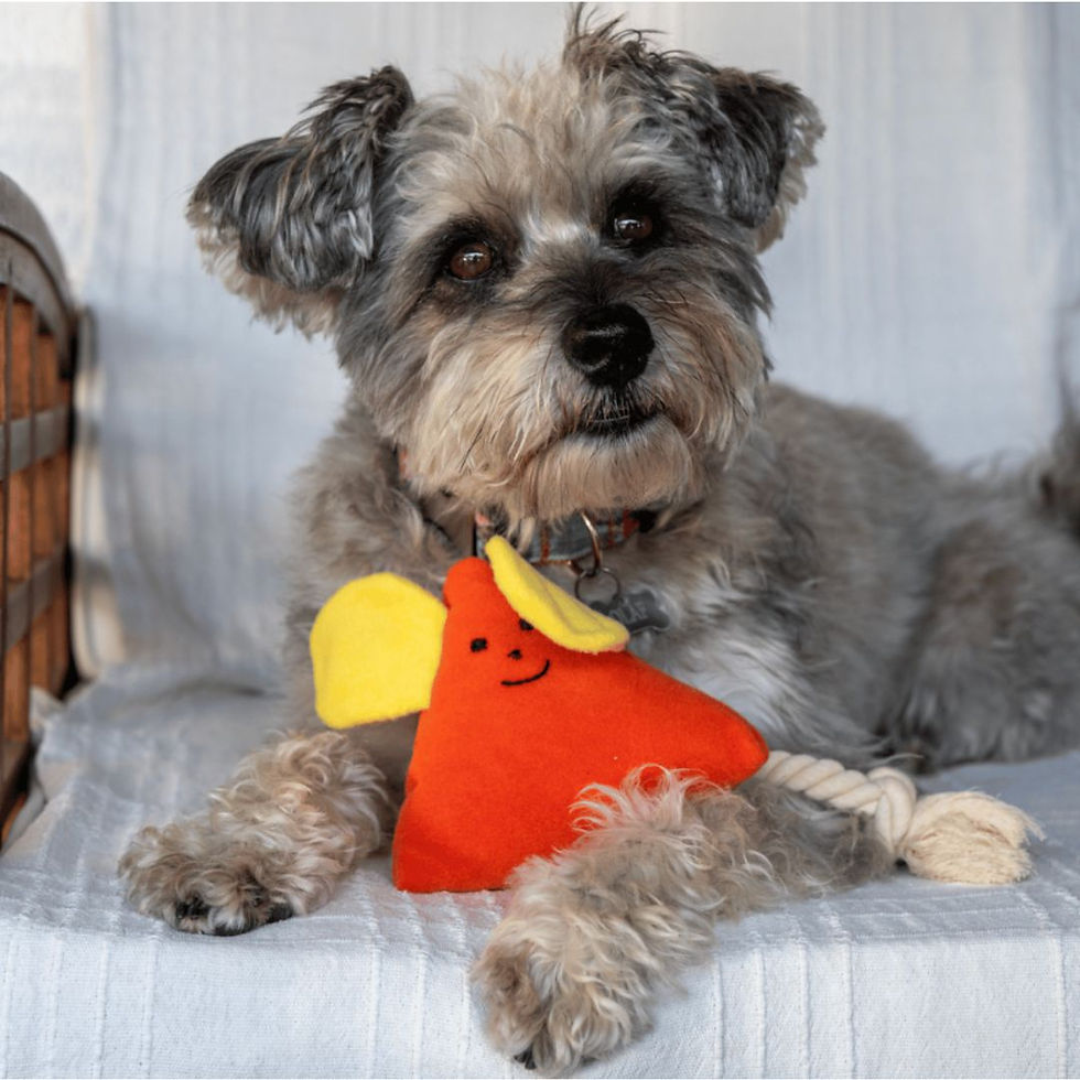 peluş prizma şeklinde köpek oyuncağı iki kulağı var ve kuyruğu pamuk halat