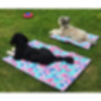 çiçek desenli katlanabilir ve taşınabilir köpek yer matı ve iki köpekli görsel
