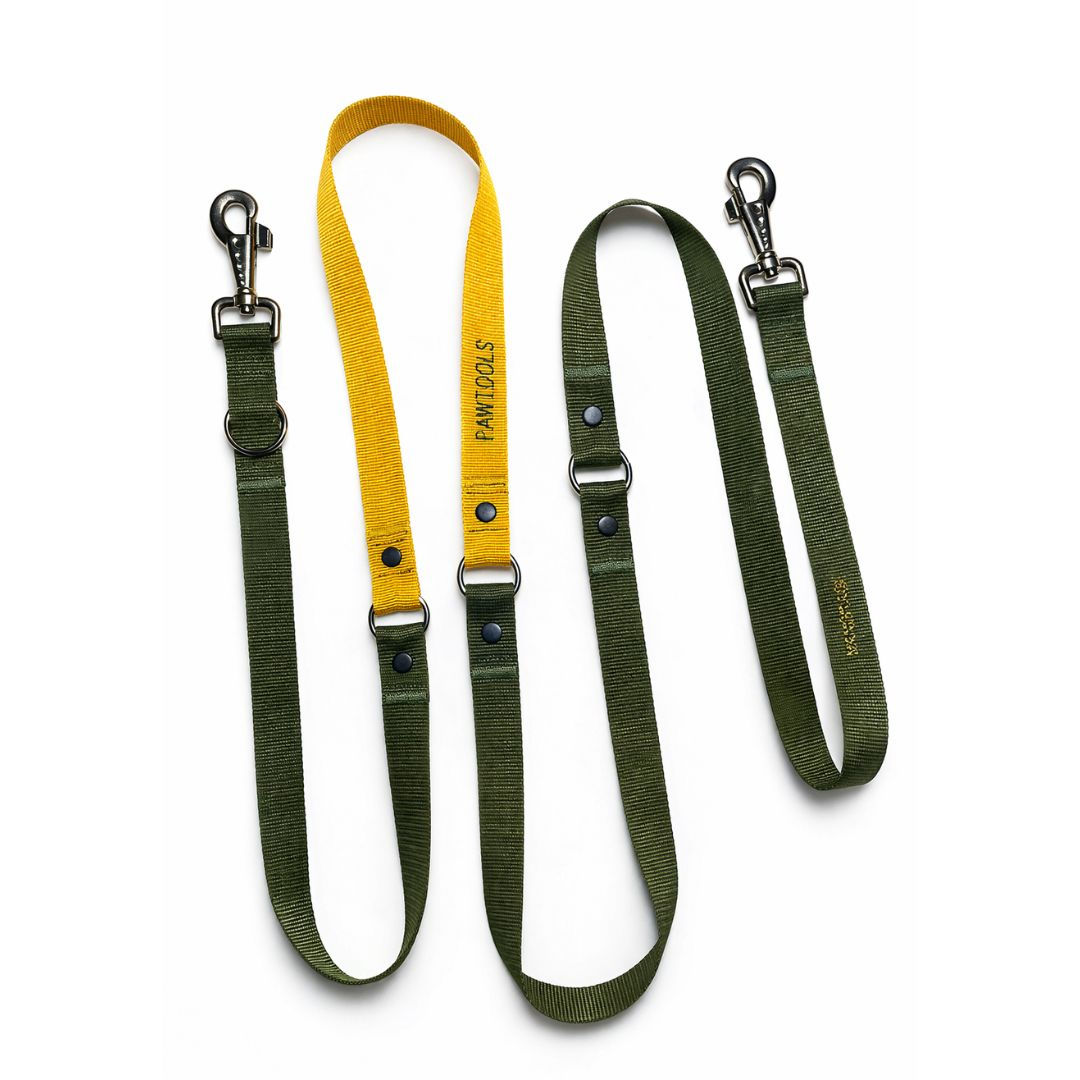 köpek gezdirme kayışı, hands free köpek tasması, çift kancalı köpek kayışı, eğitim tasması, ayarlanabilir köpek tasması