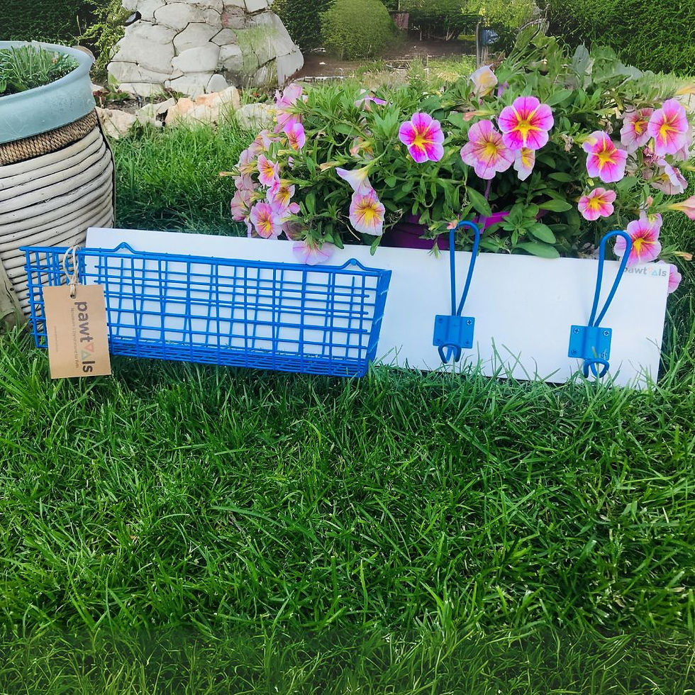 Yazlık dekorasyon için beyaz ve mavi renk seçeneği.