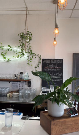 Lush indoor plants maintained in a Vancouver restaurant, adding natural greenery to a modern dining space.