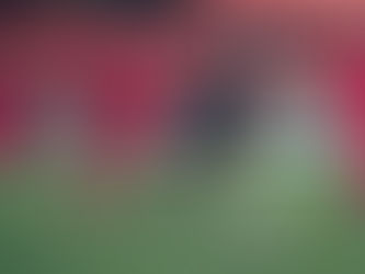 OPPOSITION FOCUS | Worthing (H)