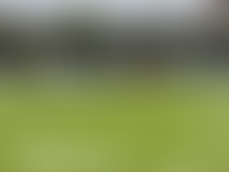 OPPOSITION FOCUS | Maidenhead United (A)