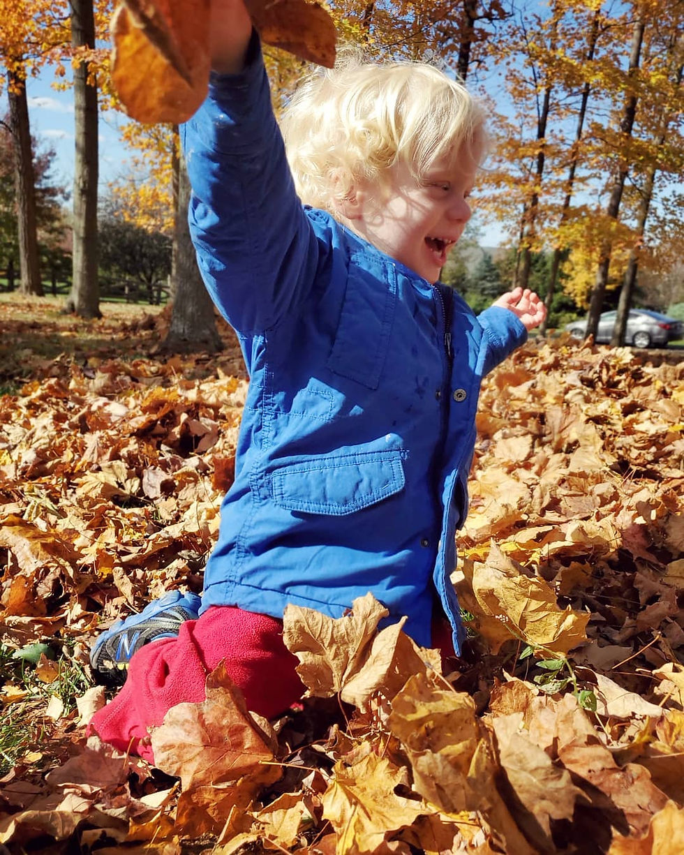 boy jumps in leaf pile. boy has blue jacket and red pants. he has blonde curly hair. is 2 years old. and has a giant open  mouth smile. he is throwing leaves in the air. there are trees around him in the background. 