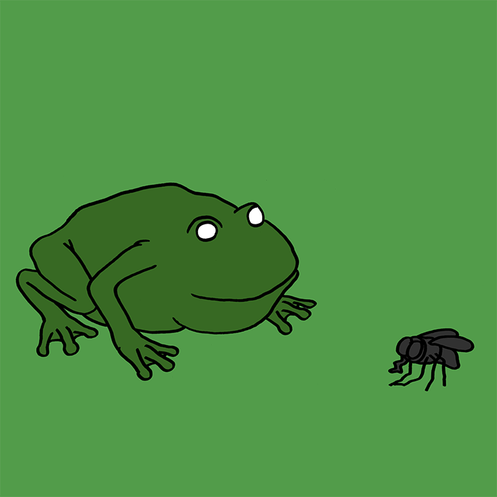 gif20