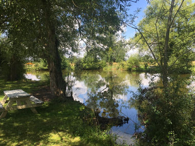 Large lake surrounded by trees and scenery
