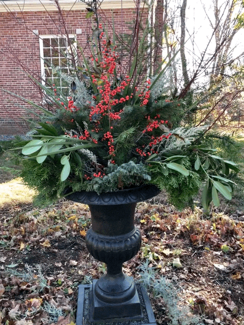 IMG_2843.gif
