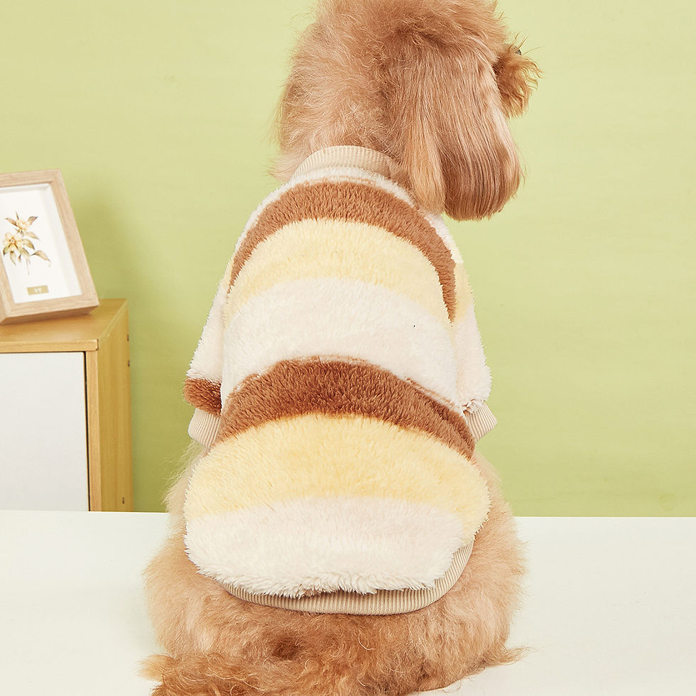 섬네일: VELOTAIL Cloud Cozy Fleece Sweater