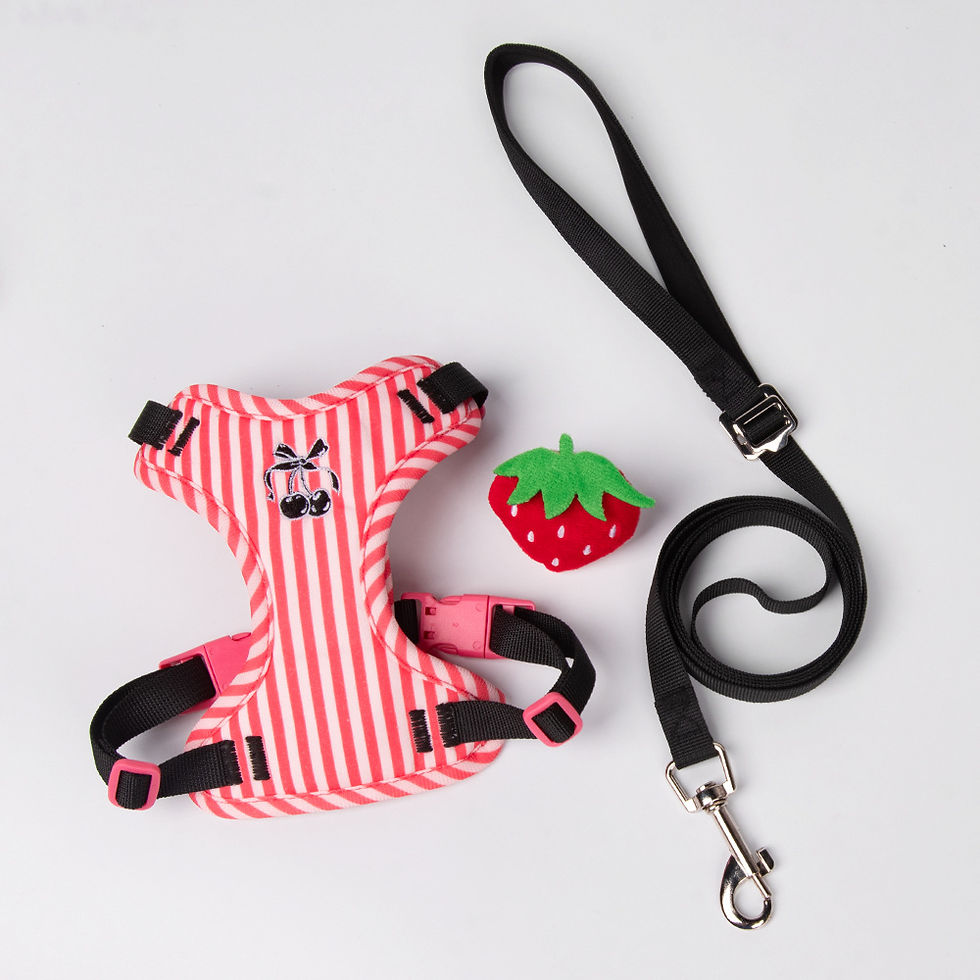 Thumbnail: VELOTAIL Soft Adjustable Pet Harness & Leash Set