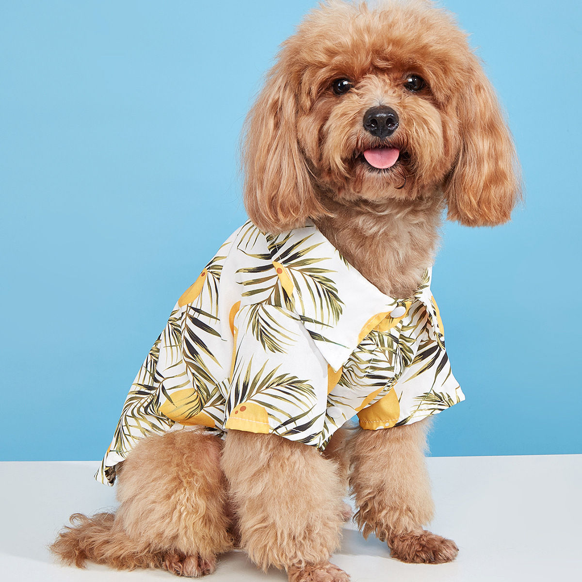 VELOTAIL Island Breeze Pet Shirt