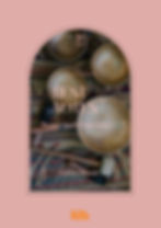Sound Bath Experience