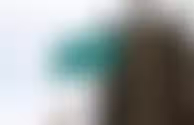 Extremist, terrorist – or just plain fed up?