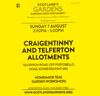 Allotments Open Day - Sunday 7th August