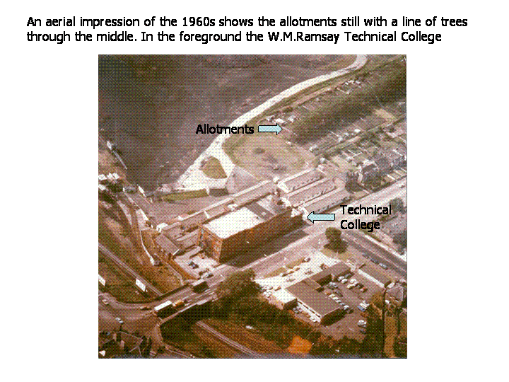 Aerial view showing allotments 1960s