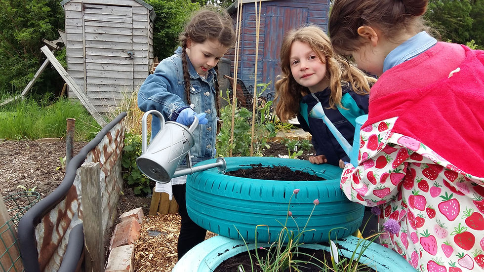 Rainbows planting up our tyres