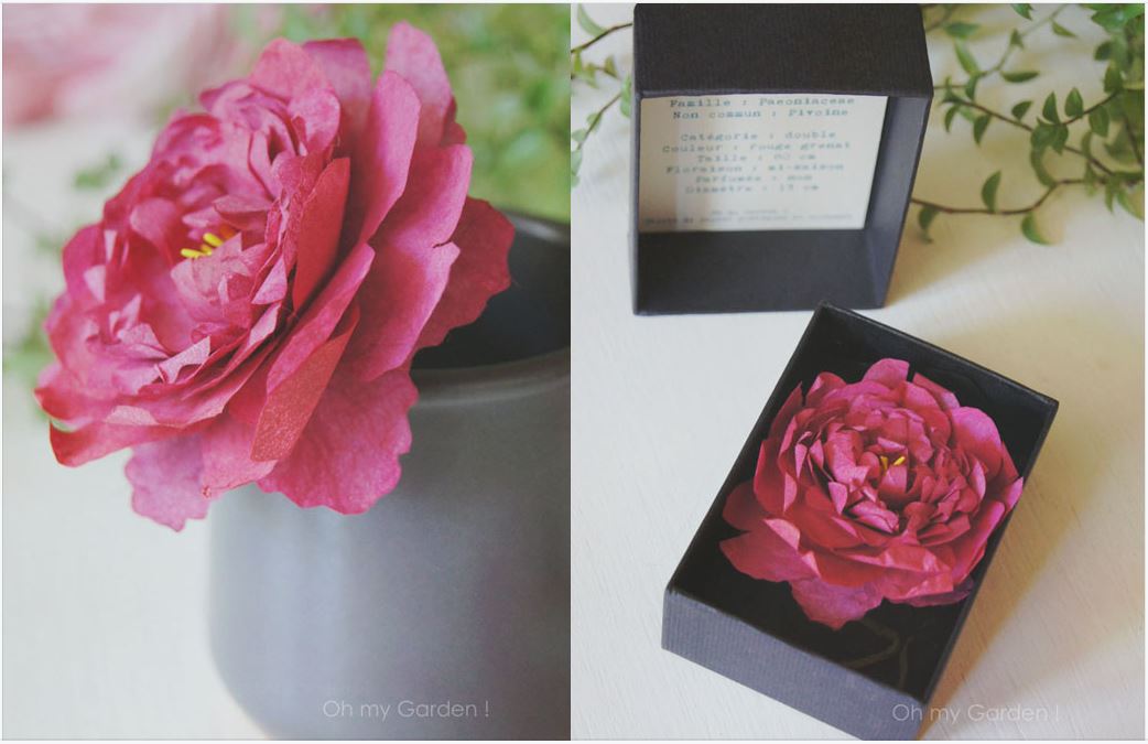 Botanique en boite pivoine de papier