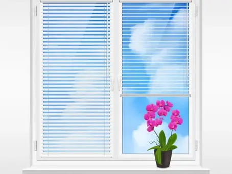 Maximizing Natural Light: Best Window Designs for Washington, DC Homes