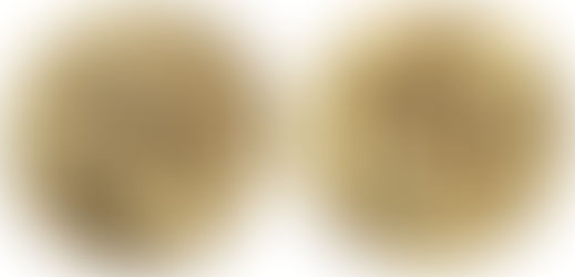 Die 1. Arbeit des Herakles in der antiken griechischen Numismatik