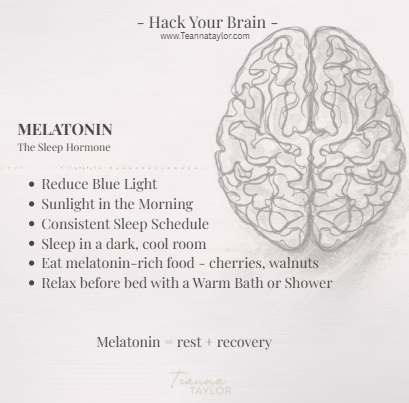 Melatonin is often described as the sleep hormone, yet this only captures part of its role, because at its core, melatonin regulates your circadian rhythm, signalling to your body when it is time to sleep and when it is time to wake.