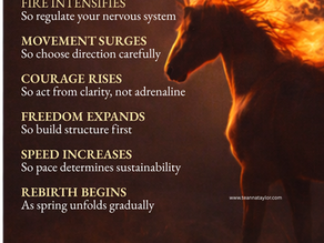 The Fire Horse Is Rising, Move With It,  Not Against It