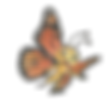 The buttefly from the Rainbow Breath Kids book series