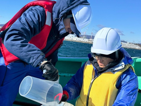 Ensuring Environmental Safety: The Fukushima Water Release and Global Oversight