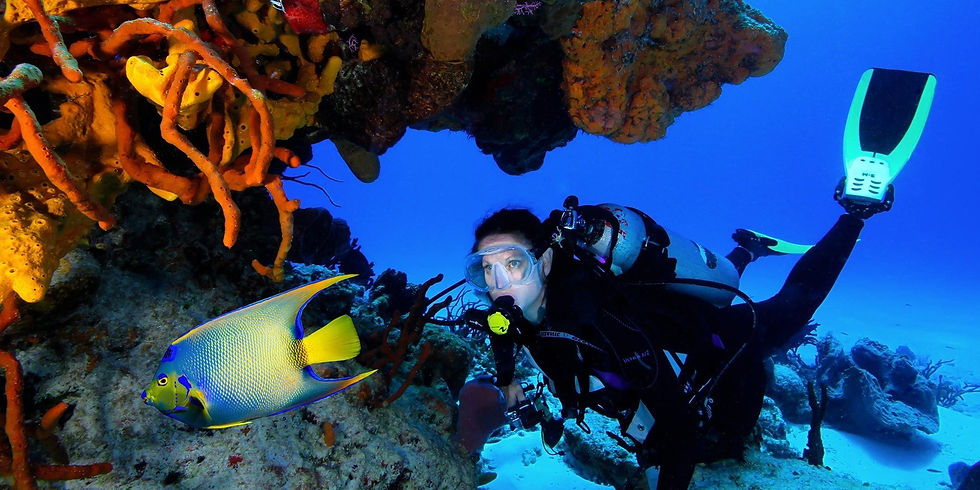 xxlarge_czp_Aqua_Safari_Diver_2_bg_2160x1080_e6eb2de016.jpg