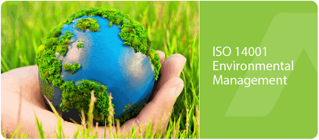 Why do you need an Environmental Management System?