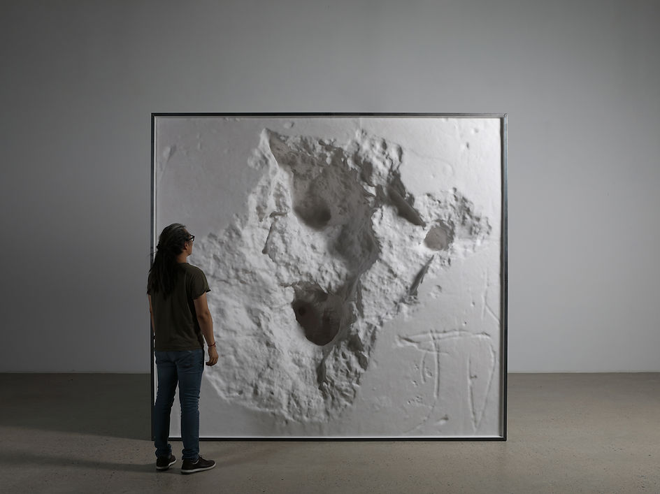 insight_into_the_true_nature_of_reality,